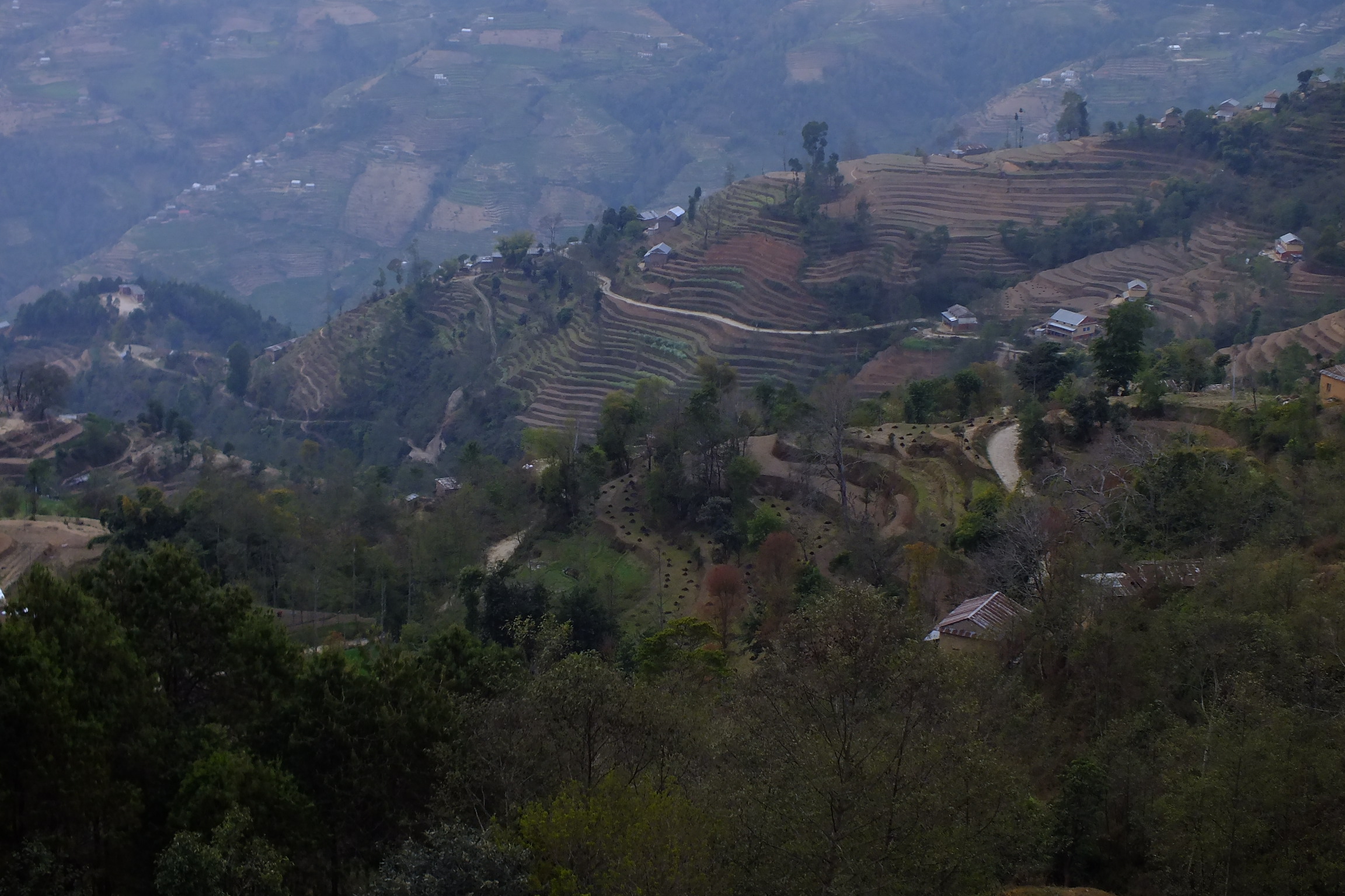 Bhangeri Durbar Resort